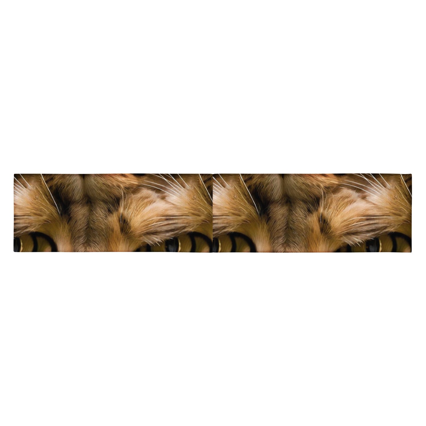 Headband - Feline Whisper