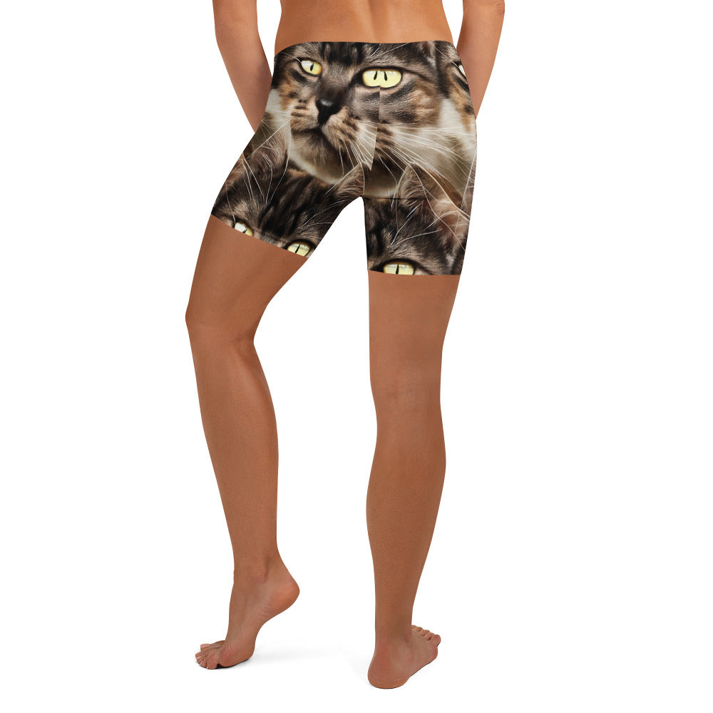 Shorts - Feline Reverie