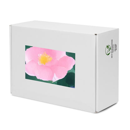 Women's High Top Canvas Shoes - Pink Blossom Serenade