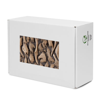 Women's High Top Canvas Shoes - Desert Dreams