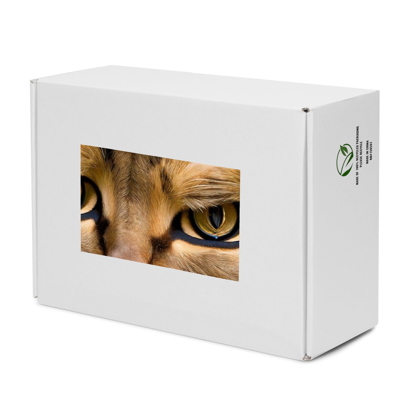 Women's High Top Canvas Shoes - Feline Whisper