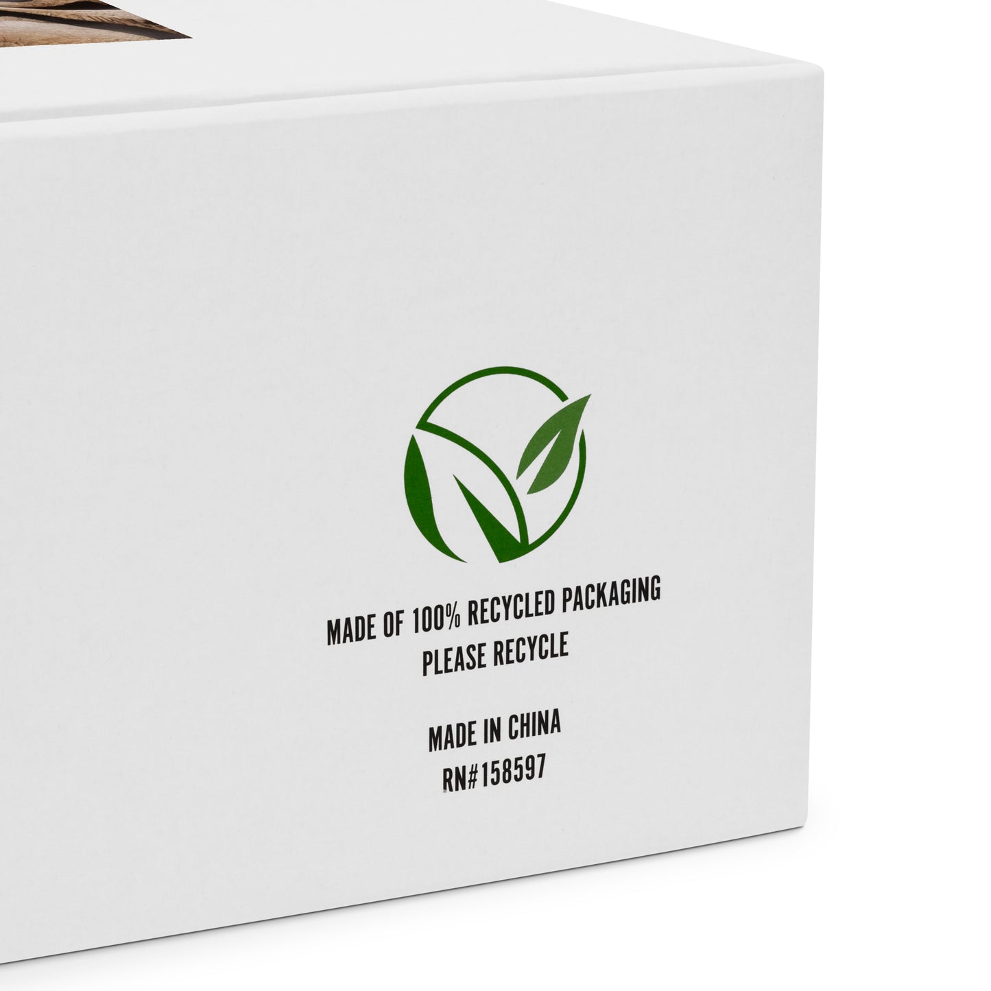 Men's High Top Canvas Shoes - Desert Dreams