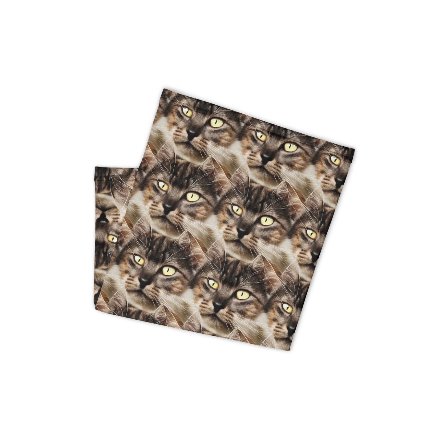 Neck Gaiter - Feline Reverie