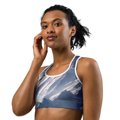 Sports Bra - Frosted Zenith