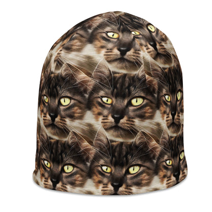 Beanie - Feline Reverie