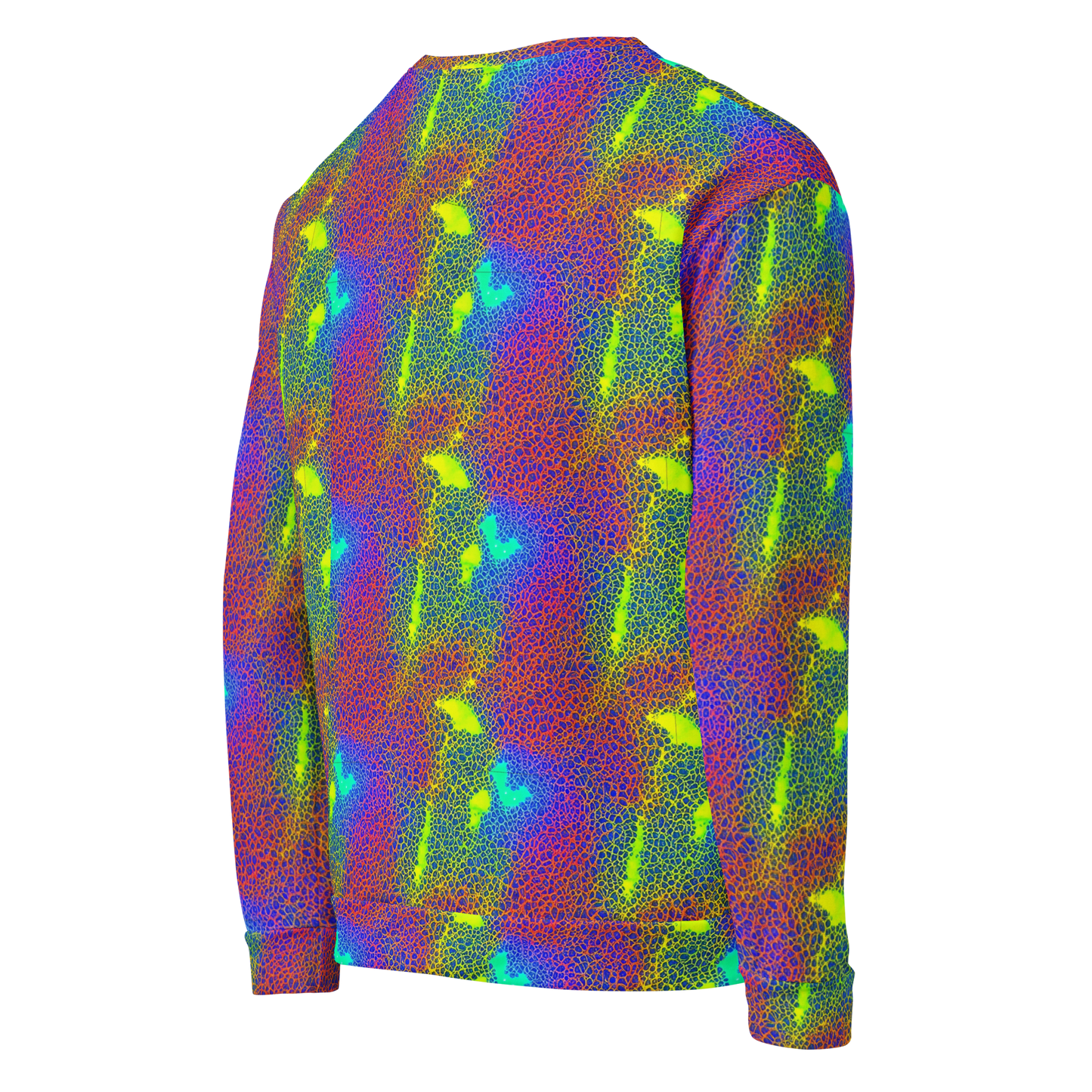 Sweatshirt - Prismatic Web