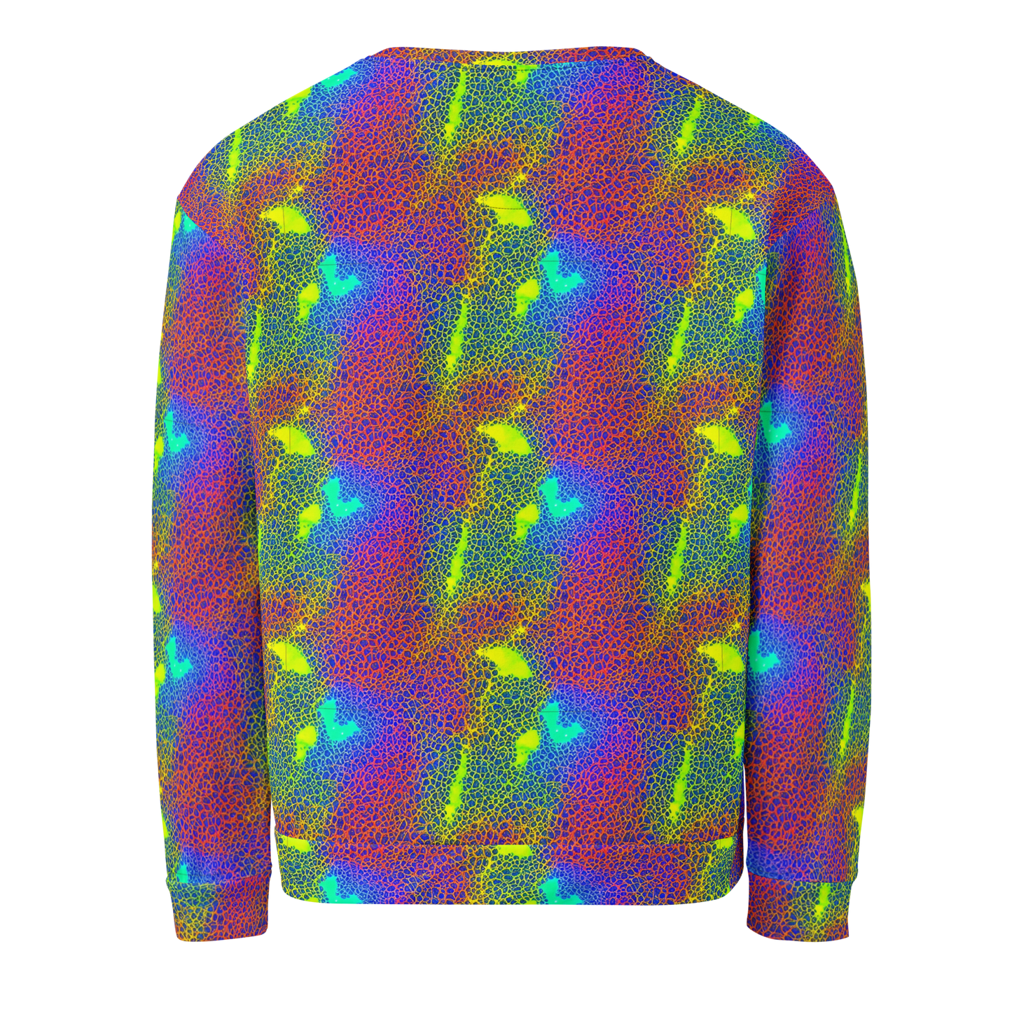 Sweatshirt - Prismatic Web